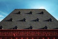 Old roof with dormers