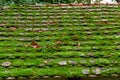 Old roof farmhouse covered with green moss Royalty Free Stock Photo