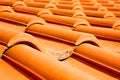 old roof in italy the line and texture Royalty Free Stock Photo