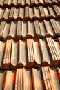 old roof in italy texture of diagonal architecture Royalty Free Stock Photo