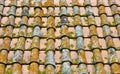 Old roof with moss Royalty Free Stock Photo