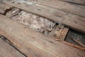 Old roof repair and renovation. Old house roof with bad wet wooden beams and  wet roock wool insulation material. Roofing Royalty Free Stock Photo