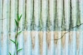 Old roof texture with grass Royalty Free Stock Photo