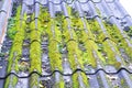 Old roof tiles red brick covered with green moss and blue sky with white clouds, Royalty Free Stock Photo