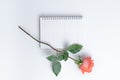 Old rose color flower, notebook and pencil on white background