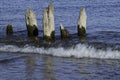 Old rotted 50 point pier supports Royalty Free Stock Photo
