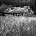 Old rotten barn