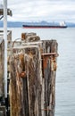 Wooden piles of an old fishing pier with a fixed lifting roller at the mouth of the Columbia River at Pacific ocean Royalty Free Stock Photo