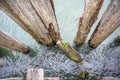 Wooden rotten pillars of an old pier on the Pacific coast