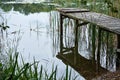 Old rotten pier made of wood on a lake covered in moss with missing planks at a lake in the forest. Royalty Free Stock Photo