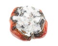 Old rotten tomato with mold on a white background. Royalty Free Stock Photo
