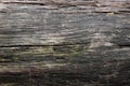 Old rotten wood as a backdrop. Wood texture Royalty Free Stock Photo