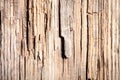 Old rotten wood texture. hard light Royalty Free Stock Photo