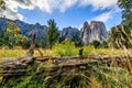 Rotting log, tall grass and yellow flowers in the foreground with huge granite peaks in the background at a stop on Northside