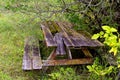 Old rotting pinnic table