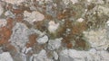 Old rough stone wall texture with brown and green lichen and moss growing on surface Royalty Free Stock Photo