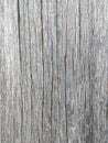 Old and rough wooden texture background close up macro