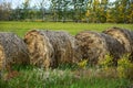 Old Round Hay Bales in a Field Royalty Free Stock Photo