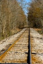 Old RR track into woods Royalty Free Stock Photo