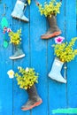 Old rubber boots with blooming flowers Royalty Free Stock Photo