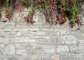 Old, rugged brick wall texture with bright fall greenery perfect for background Royalty Free Stock Photo