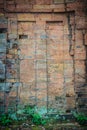 Old ruin brick wall covered with green moss and small grass. Old khmer sanctuary brick wall overgrown with green moss. Royalty Free Stock Photo