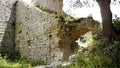 Old ruin of the Cathars