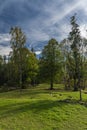 In color forest near old ruin of church near Besiny village in south Bohemia Royalty Free Stock Photo