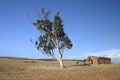 Old ruin farm house Royalty Free Stock Photo