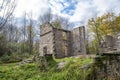 Old Ruin in the Forest near Wiarton, Ontario 2 Royalty Free Stock Photo