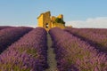 An old ruin at sunset surrounded by lavender fields Royalty Free Stock Photo