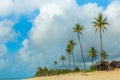 old ruined African huts with roofs of palm branches stand among the palm trees on the ocean