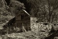 Old Ruined Barn in the Woods Royalty Free Stock Photo