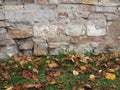 The old, ruined brick wall, autumn leaves, grass Royalty Free Stock Photo