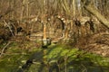 old ruined bridge connecting garden pavillion and the rest of the garden