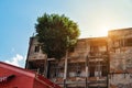 Old ruined building with growing trees from the windows. center of havana. Cuba. Royalty Free Stock Photo