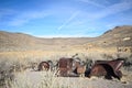 Old Ruined Car in Ghost Town Royalty Free Stock Photo