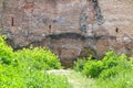 Plant overgrown wall of an old castle Royalty Free Stock Photo