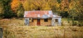 An old ruined classical New Zealand farm cabin with autumn coloured trees