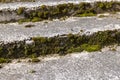 an old ruined concrete and stone staircase in the park Royalty Free Stock Photo