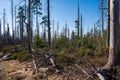 Old ruined forest on mountain top, Czech and slovakia border Velky Polom Royalty Free Stock Photo