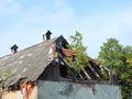 Old ruined home and plants, Lithuania