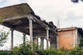 Old ruined railway station building overgrown with plants Royalty Free Stock Photo