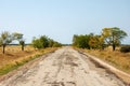 Old ruined road to the steppe. Auto road in Savannah