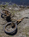 Old ruined rusted bike on a lake shore