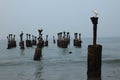 Old ruined sea piers