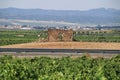 Old ruined stone house surrounded by vineyards