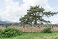 Old ruined stone wall of ancient Cisnadioara fortress in Sibiu,  Romania. Green grass all around. Mountains in background Royalty Free Stock Photo