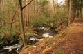 Little River in Great Smokey Mountains National Park Royalty Free Stock Photo