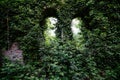 Old ruins of historical building overgrown by vegetation green post-apocalyptic concept